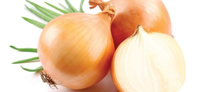 Лук репчатый полезные свойства и фото